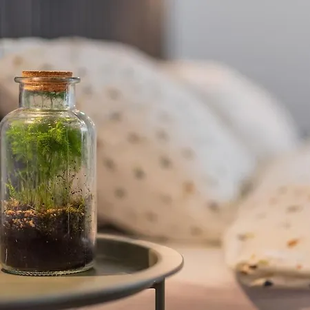 Fabrica 13 公寓 克卢日-纳波卡