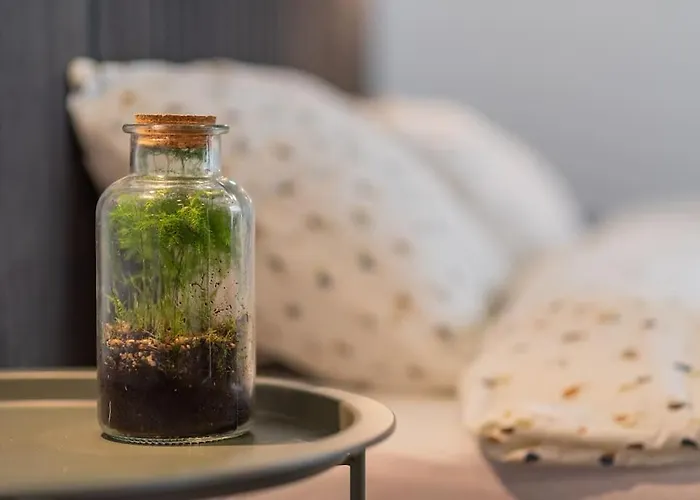 Fabrica 13 公寓 克卢日-纳波卡