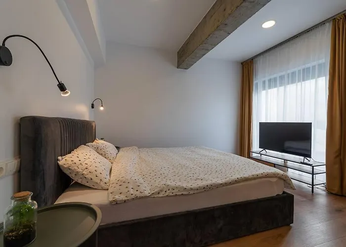 Fabrica 13 * 克卢日-纳波卡