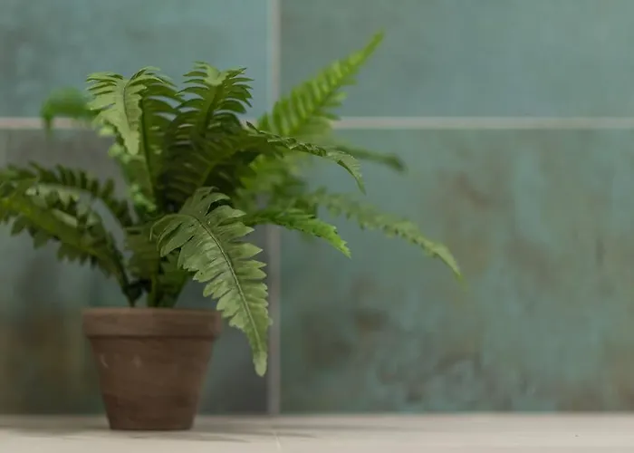 Fabrica 13 クルージュ＝ナポカ