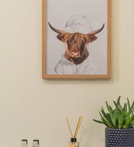 Fabrica 13 Lejlighed Cluj-Napoca