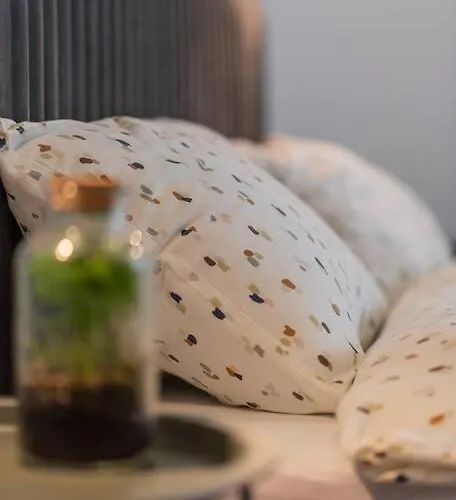 Fabrica 13 公寓 克卢日-纳波卡